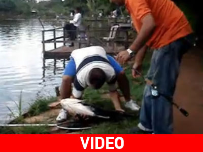 Η εκδίκηση του ψαριού